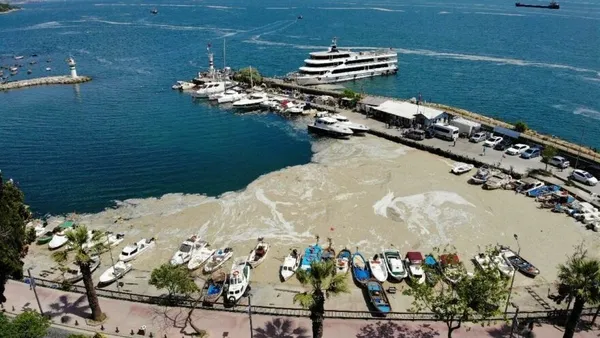 deniz-salyasi-neden-olur-deniz-salyasi-insana-zarar-verir-mi-deniz-salyasi-nerelerde-var-1622998834304.jpg Deniz salyası neden olur? Deniz salyası insana zarar verir mi? Deniz salyası nerelerde var?-3