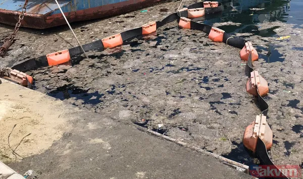 SON DAKİKA: Marmara Denizi için büyük tehlike! Deniz hala soğumadı müsilaj tehlikesi devam ediyor - 33