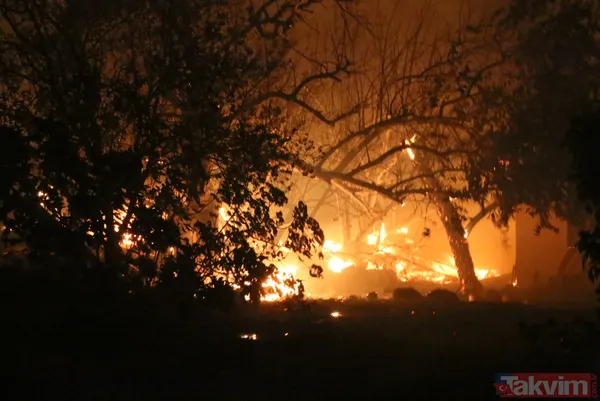 Kan kaybeden PKK, Türkiye'nin ormanlarını yakıyor: Yunanistan'da eğitim gördüler hedeflerinde turistik bölgeler var - 10