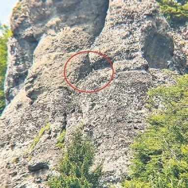 Firari keçiyi AKUT kurtardı