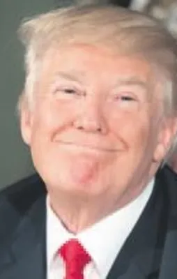 Kendini affetme yetkisine sahip