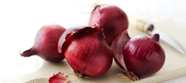 Kırmızı soğan kansere düşman