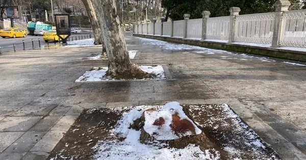 chpli-ibbnin-ciragan-caddesinde-kestigi-112-cinar-agacinin-hikayesi-tarihci-mehmet-dilbaz-a-haberde-anlatti-1647349632519.jpg CHP'li İBB'nin Çırağan Caddesi'nde kestiği 112 çınar ağacının hikayesi! Tarihçi Mehmet Dilbaz, A Haber'de anlattı-3