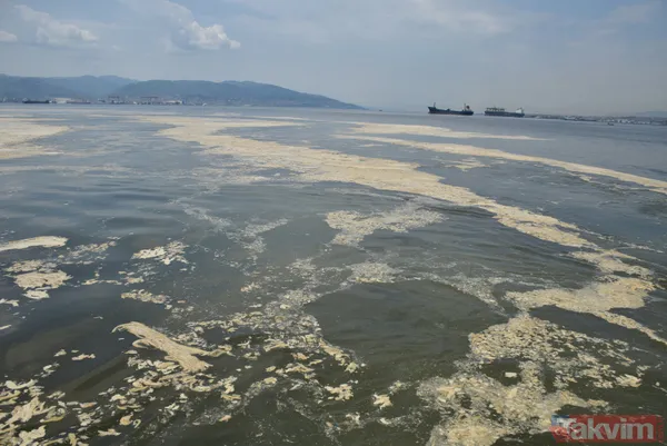 SON DAKİKA: Marmara Denizi için büyük tehlike! Deniz hala soğumadı müsilaj tehlikesi devam ediyor - 19