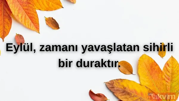 🌾Eylül, Zamanı Yavaşlatan Sihirli Bir Duraktır.