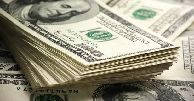 11 agustos dolar ne olacak dusus