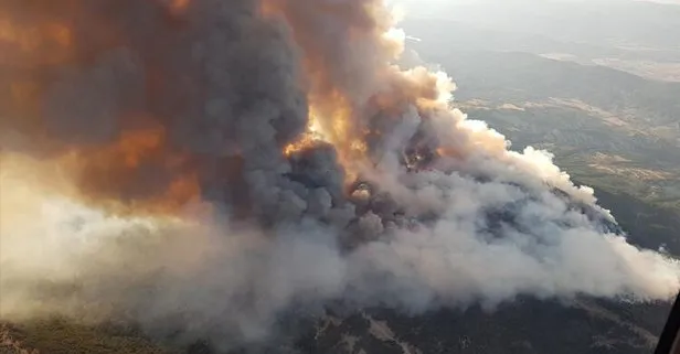 Pakdemirli: Ankara Nallıhan’da çıkan orman yangını büyük ölçüde kontrol altına alınmıştır