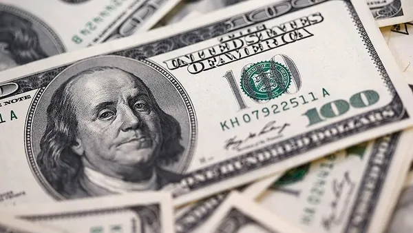 Son dakika: Merkez Bankası dolar tahminini açıkladı!-2