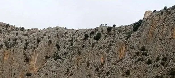 Koyunlarını kurtarmak isterken uçurumdan düştü