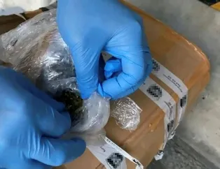 Kargodan zehir çıktı!