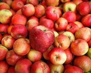 Bir ısırıkta şifa!