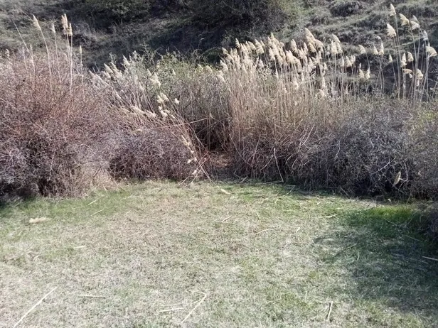 Ankara’da kan donduran olay! Kafası koparılmış 45 günlük ceset bulundu-3