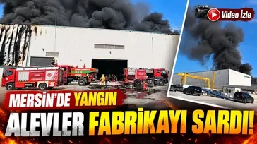 Mersin Akdeniz'de kimya fabrikasında korkutan yangın