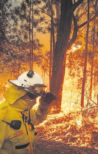 Avustralya'da aylardır devam eden yangınlarla ilgili korkunç iddia!