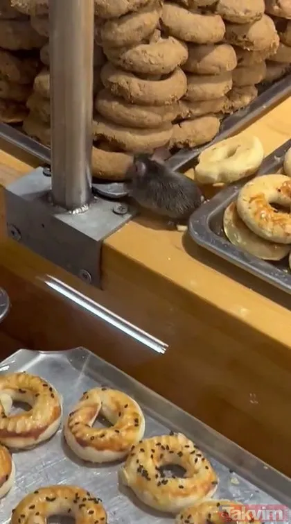 İstanbul’da skandal görüntü! Ünlü zincir marketin pastane bölümünde fare görüntülendi