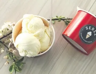 Dondurma bir tıkla kapıda