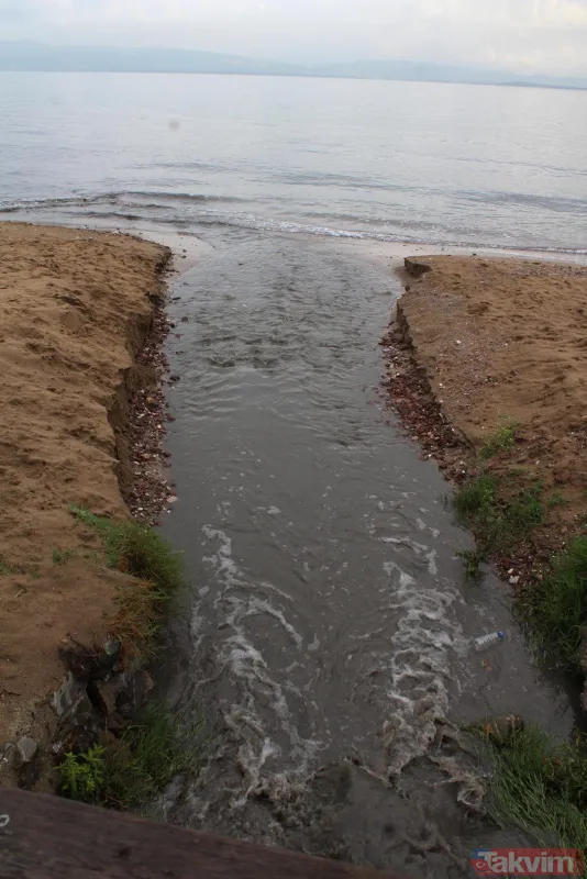 Kocaeli Dilovası'nda kömür tozları dereye aktı! İzmit Körfezi simsiyah oldu - 7
