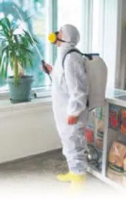 Evinizi ilaçlarken çocuğunuzu kanser etmeyin