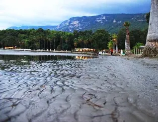 Önce Yalova'da sonra Muğla'da! Ürküten manzara...
