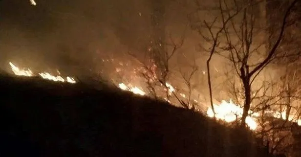 Son dakika: Osmaniye’de çıkan orman yangınına müdahale ediliyor