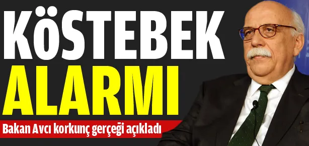 Köstebek alarmı