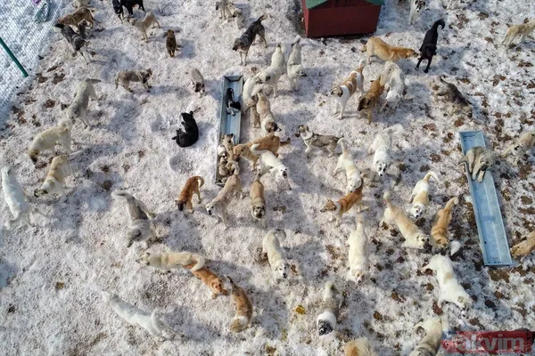 SON DAKİKA: PKK'yı HDP'yi rahatsız eden fotoğraf! Yüksekova'nın eski halinden eser yok - 18