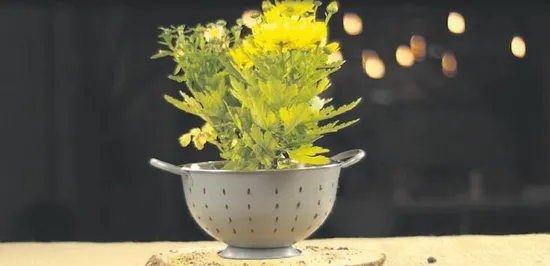 Eskileri atma yeniden tasarla! Tavadan saat süzgeçten saksı yaptılar...-6