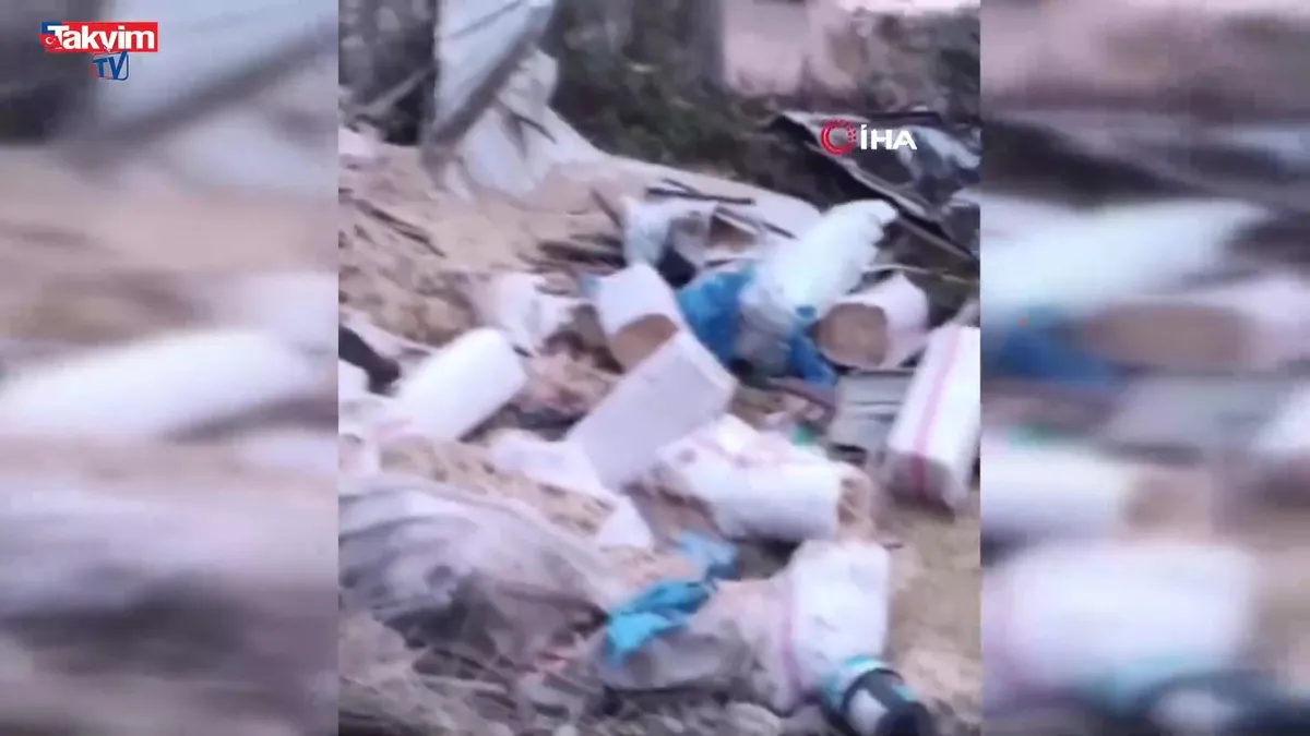 Mersin'de TIR faciası: 5 keçi telef oldu!