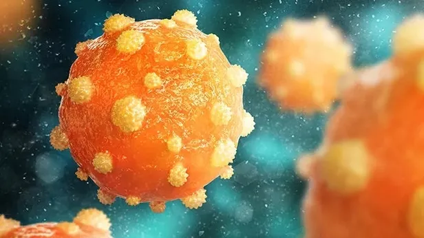 bakan-koca-uyardi-maymun-cicegi-virusu-turkiyede-hangi-ilde-goruldu-maymun-cicegi-virusu-belirtileri-neler-nas-1656572243542.jpeg BAKAN KOCA UYARDI! Maymun Çiçeği Virüsü Türkiye'de hangi ilde görüldü? Hangi hastanede? Maymun Çiçeği virüsü belirtileri neler, nasıl bulaşır?-6