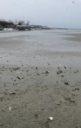 İstanbul ve Tekirdağ'da deniz çekildi