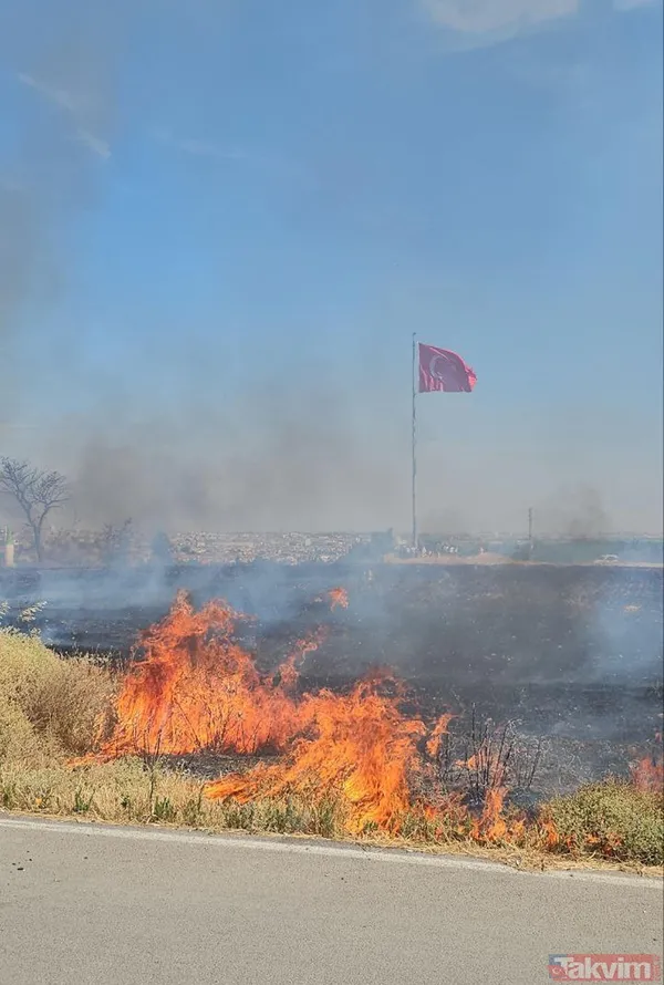 Edirne'de yangın, hayvanların barındığı ağıla sıçradı! - 4