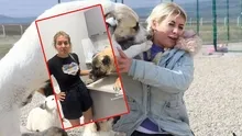 Mama lobisi yine istismar peşinde! Köpek Velisi Buket Özgünlü video çekip para dilendi: Estetik parası mı çıkışmadı?| Vurgun MASAK raporunda