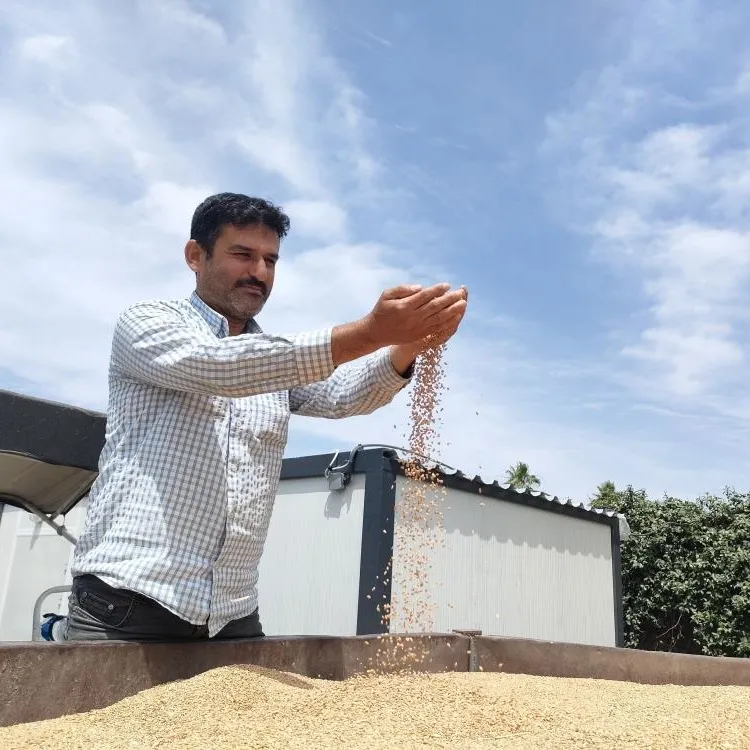 Başkan Erdoğan müjdelemişti!