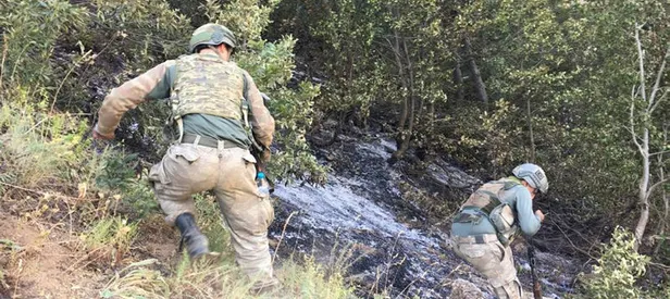 Bitlis'te PKK'ya ağır darbe