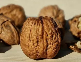 Diş sağlığı için ceviz