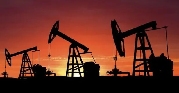 TPAO’nun Adana’da petrol arama ruhsat başvurusu kabul edildi