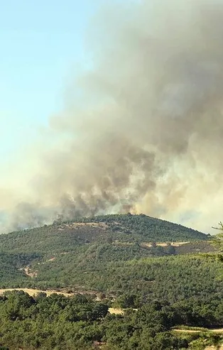 Son dakika: Uşak'ta orman yangını kontrol altına alındı