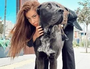 Drago dehşeti