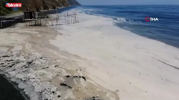 Müsilaj Marmara'da hortladı!