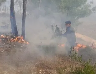 Çıkardığı orman yangınını çalıyla söndürmeye çalıştı
