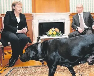 Konni’nin tasması zengin edecek