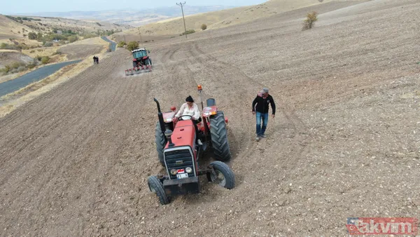 Dünyanın en iyilerinden olan Sorbonne'da okudu! Köyüne dönüp tarım yapmaya karar verdi - 6