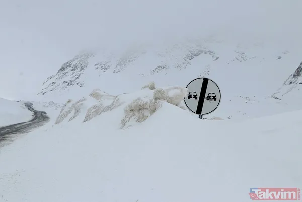 Mayıs ayının ortasında Van Bahçesaray'a 20 santimetre kalınlığında kar yağdı! Yazlık lastiği olanlar yolda kaldı besiciler zor anlar yaşadı - 4