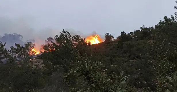 Son dakika: Bodrum’da orman ve makilik yangını! Flaş sabotaj açıklaması