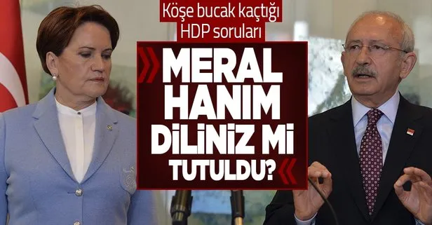 Millet İttifakı’nın ortağı Akşener, Kılıçdaroğlu’nun HDP hamlesine sessiz mi kalacak?