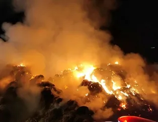 Tonlarca saman ve yem kül oldu