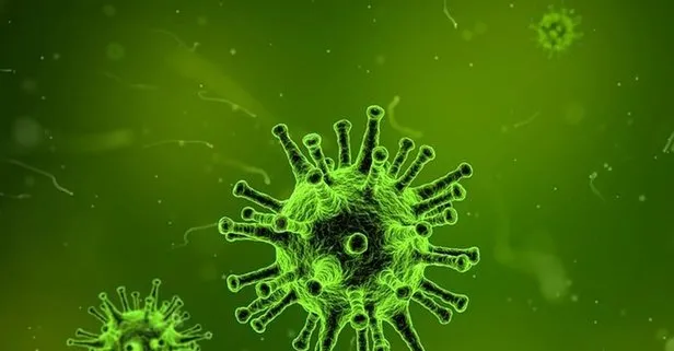 Dünyayı şoke eden açıklama! Çinli bilim insanları 24 farklı koronavirüs türü tespit etti