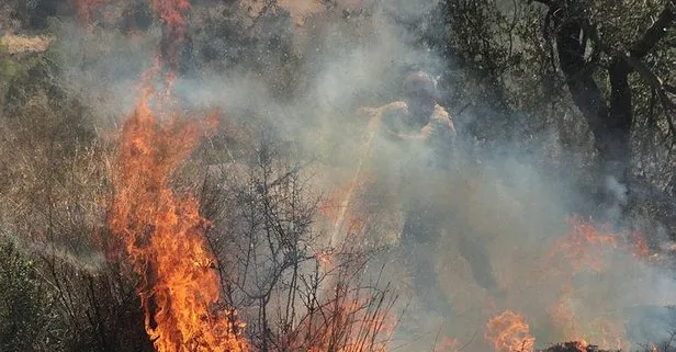 Son dakika: Mersin’de orman yangını: Felaketin eşiğinden dönüldü