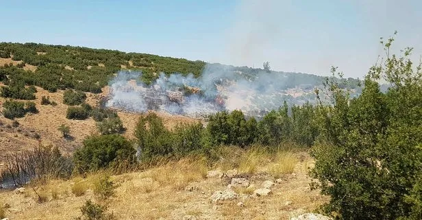 Denizli’de orman yangını! Havadan ve karadan müdahale