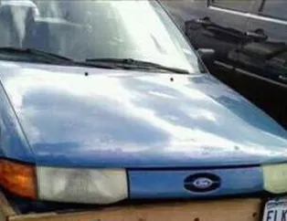 Dünyadan güldüren kareler